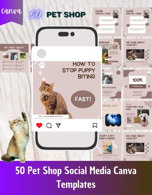 Pet Shop Social Media